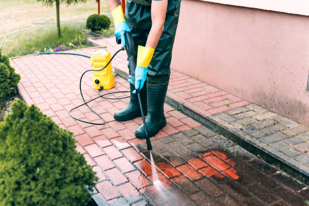 Best Solar Panel Cleaning  in Martinsburg, PA